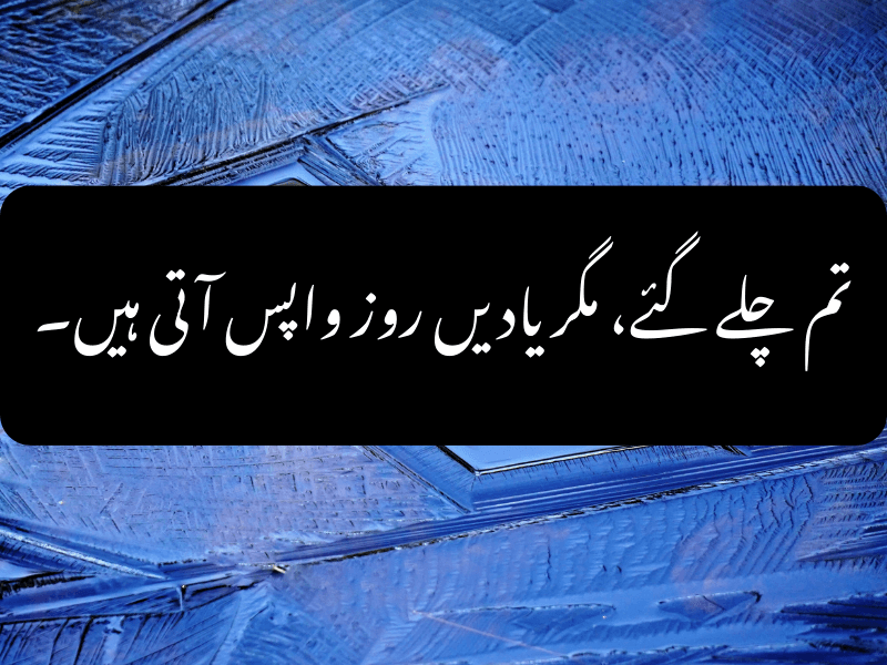 Sad Urdu Quote About Pain and Loneliness