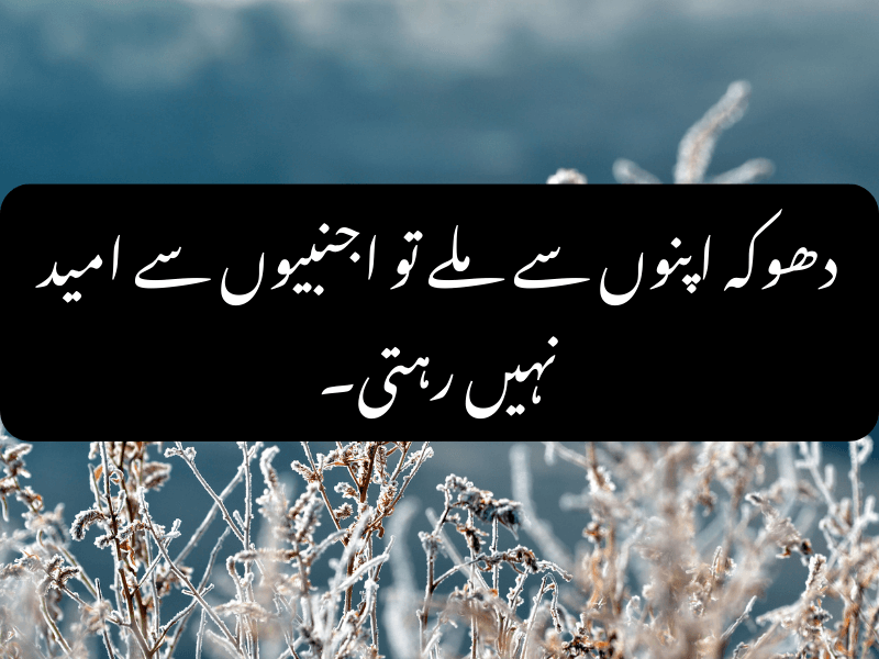 Sad Urdu Quote About Pain and Loneliness