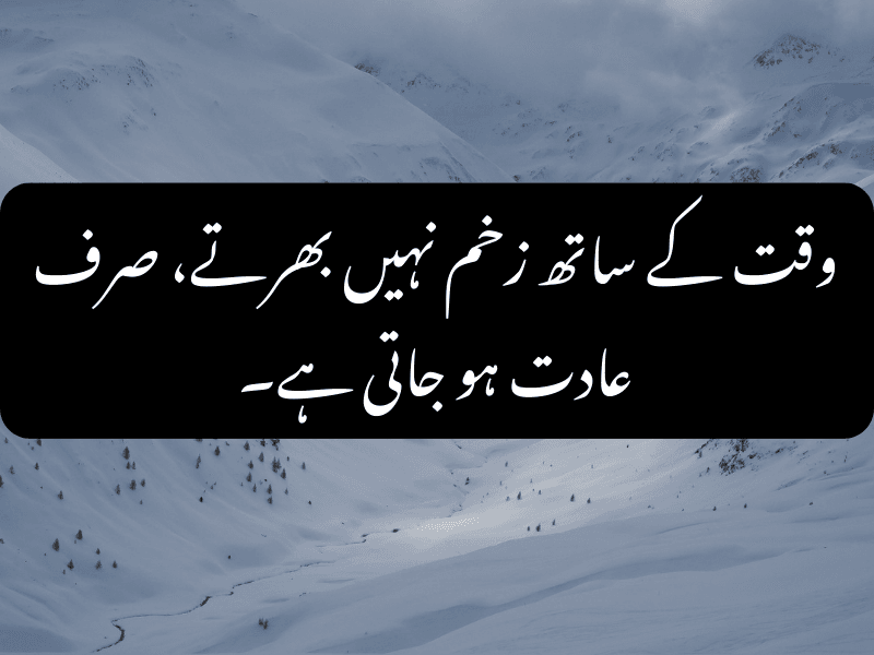 Sad Urdu Quote About Pain and Loneliness