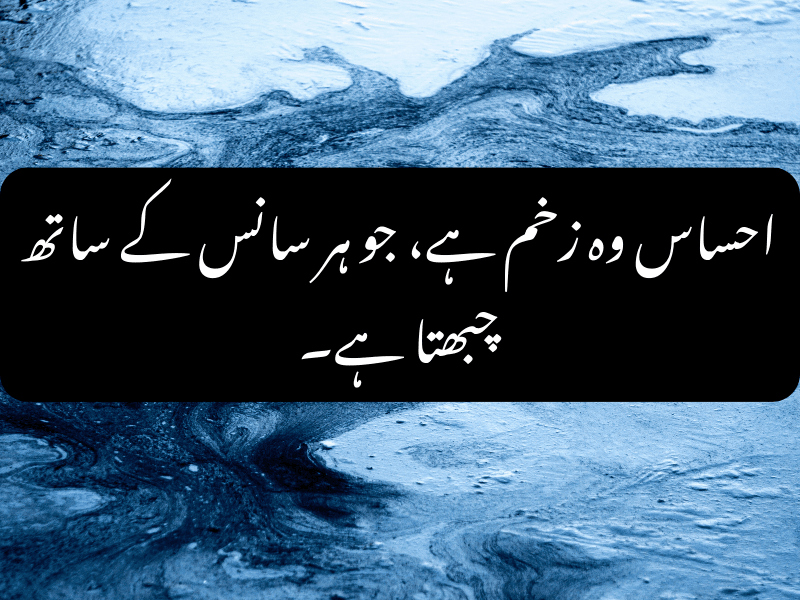 Sad Urdu Quote About Pain and Loneliness