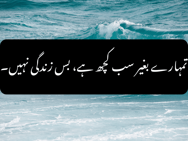 Sad Urdu Quote About Pain and Loneliness