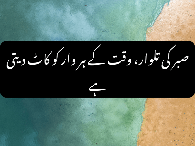 Hazrat Ali quote on patience