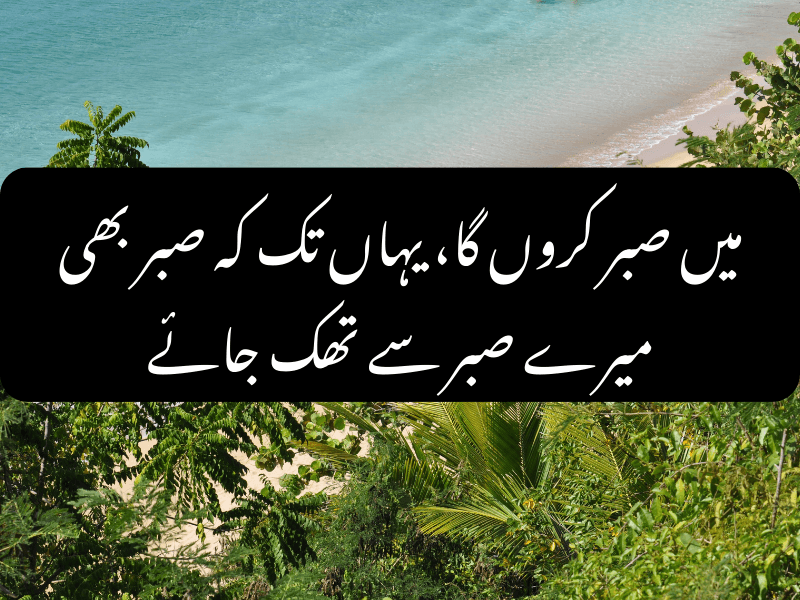 Hazrat Ali quote on endurance