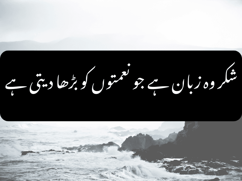 Hazrat Ali quote on gratitude