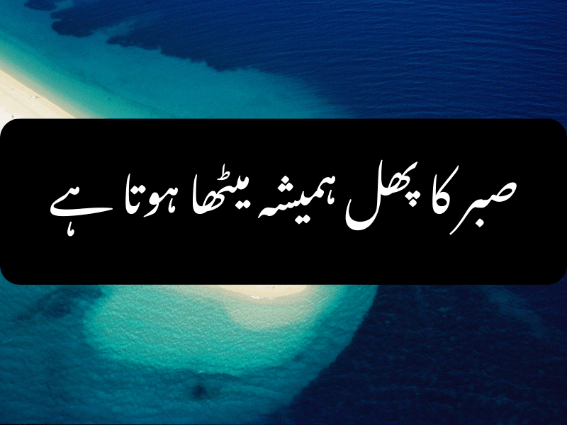 Hazrat Ali quote on sweet fruit of patience