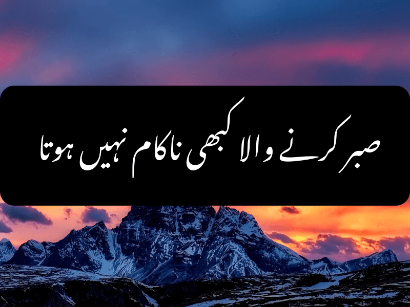 Hazrat Ali quote on success through patience