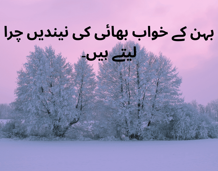 Top 10 Heartwarming Urdu Quotes on Brother and Sister with Explaination Top 10 Heartwarming Urdu Quotes on Brother and Sister with Explaination
