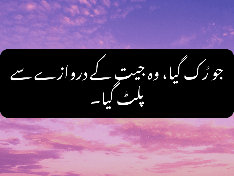 never give up urdu quote