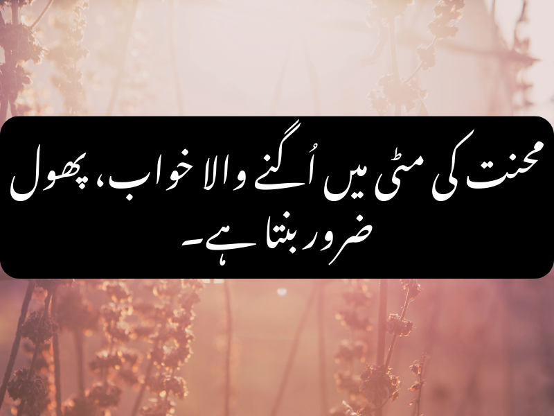 Top 10 Motivational Urdu Quotes about Success and Effort - Quotes4U – Best Urdu Quotes with Deep Meaning