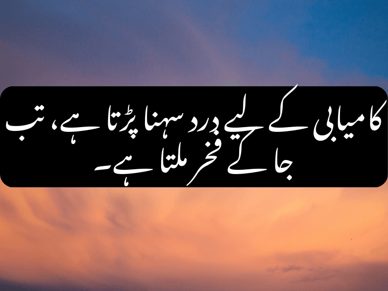 کامیابی کے لیے درد سہنا پڑتا ہے، تب جا کے فخر ملتا ہے۔ - Urdu Motivational Quote