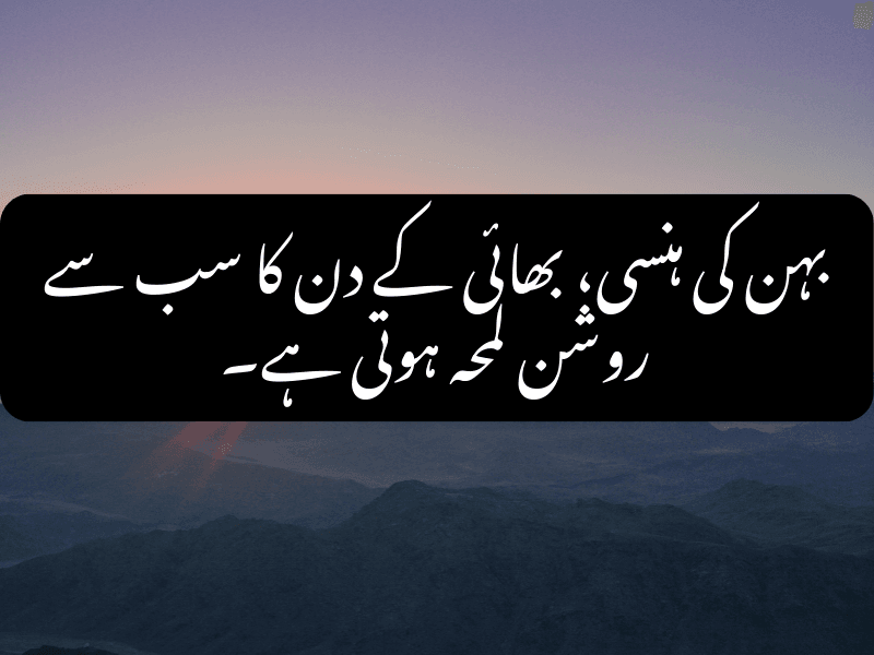 Sister's smile brightens brother's day - Urdu Quote
