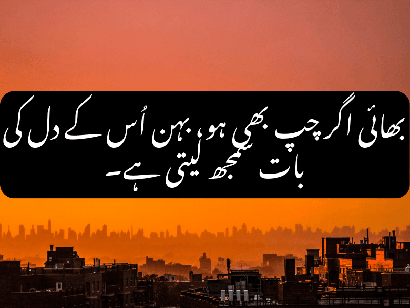 Sister understands brother's silence - Urdu Quote