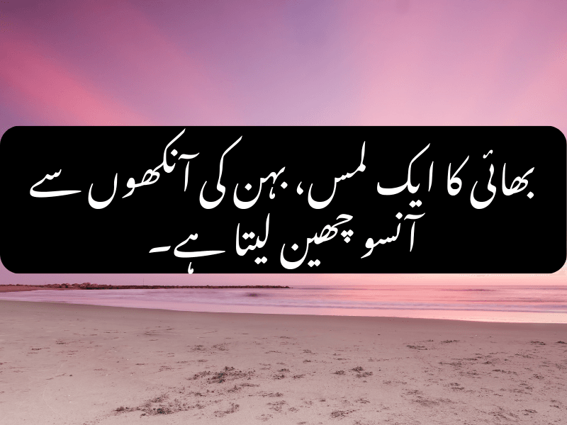 Brother's touch wipes sister's tears - Urdu Quote