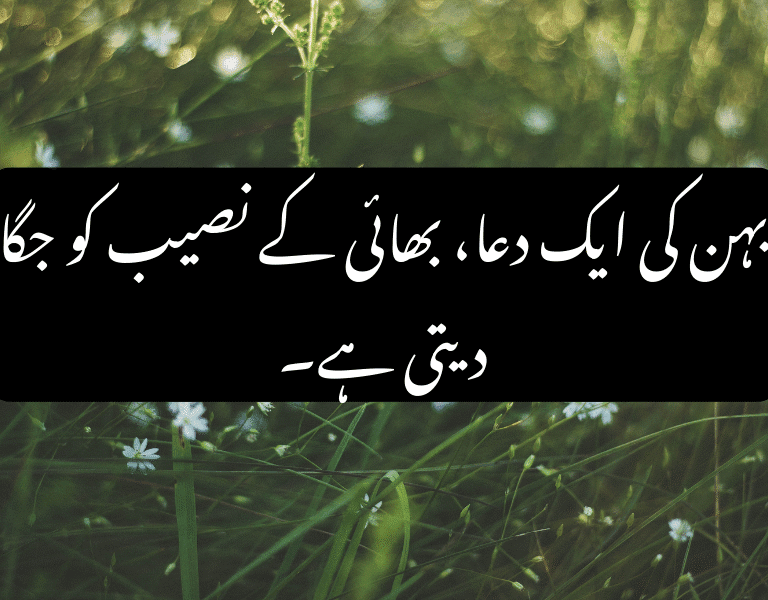Heartfelt Urdu Quotes About Brother and Sister Love Bond Heartfelt Urdu Quotes About Brother and Sister Love Bond